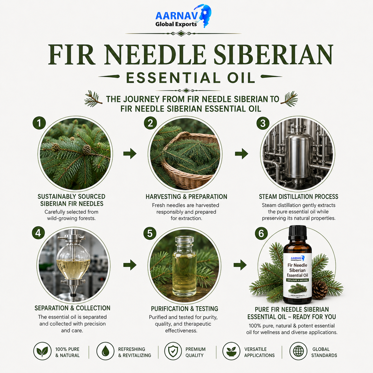 Fir Needle Siberian Essential Oil - Image 3