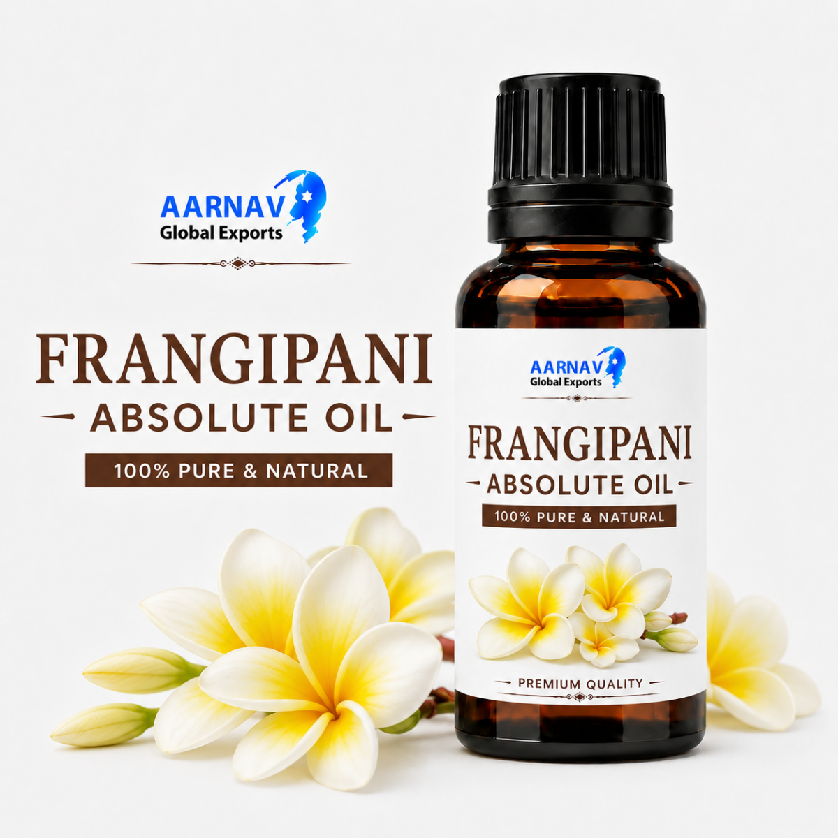 Frangipani Absolute Oil