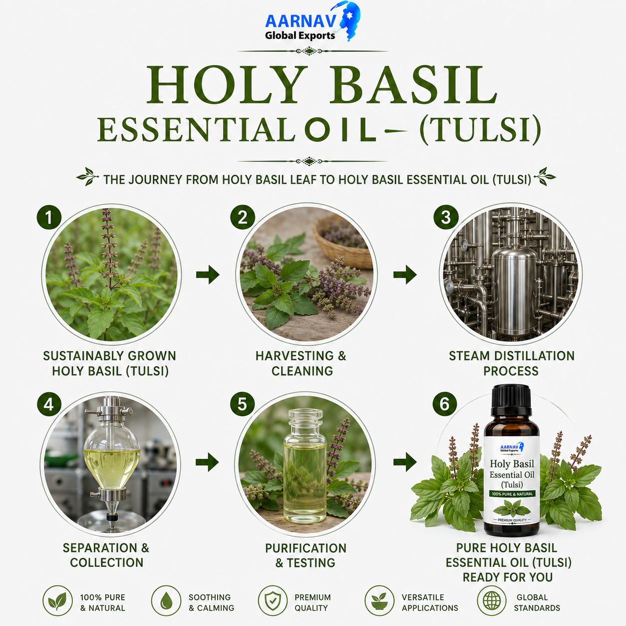 Holy Basil Essential Oil (Tulsi) - Image 2
