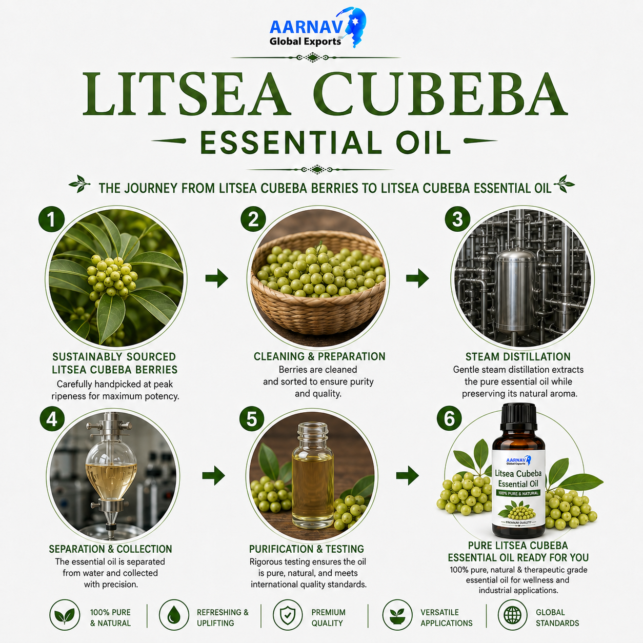 Litsea Cubeba Essential Oil - Image 2