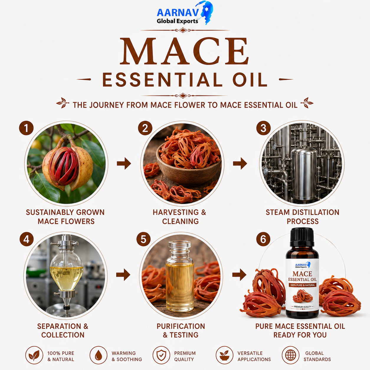 Mace Essential Oil - Image 3