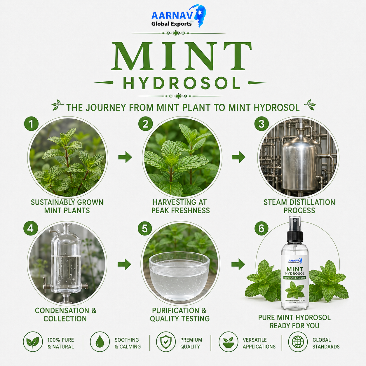 MINT HYDROSOL - Image 2