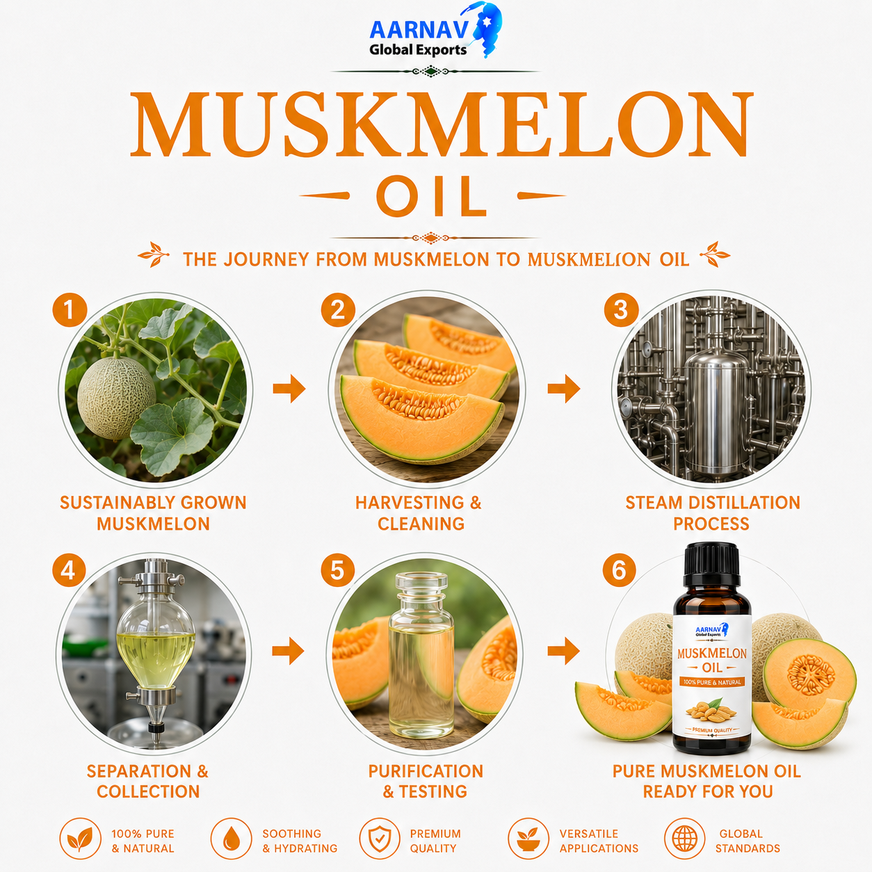 Muskmelon Oil - Image 2