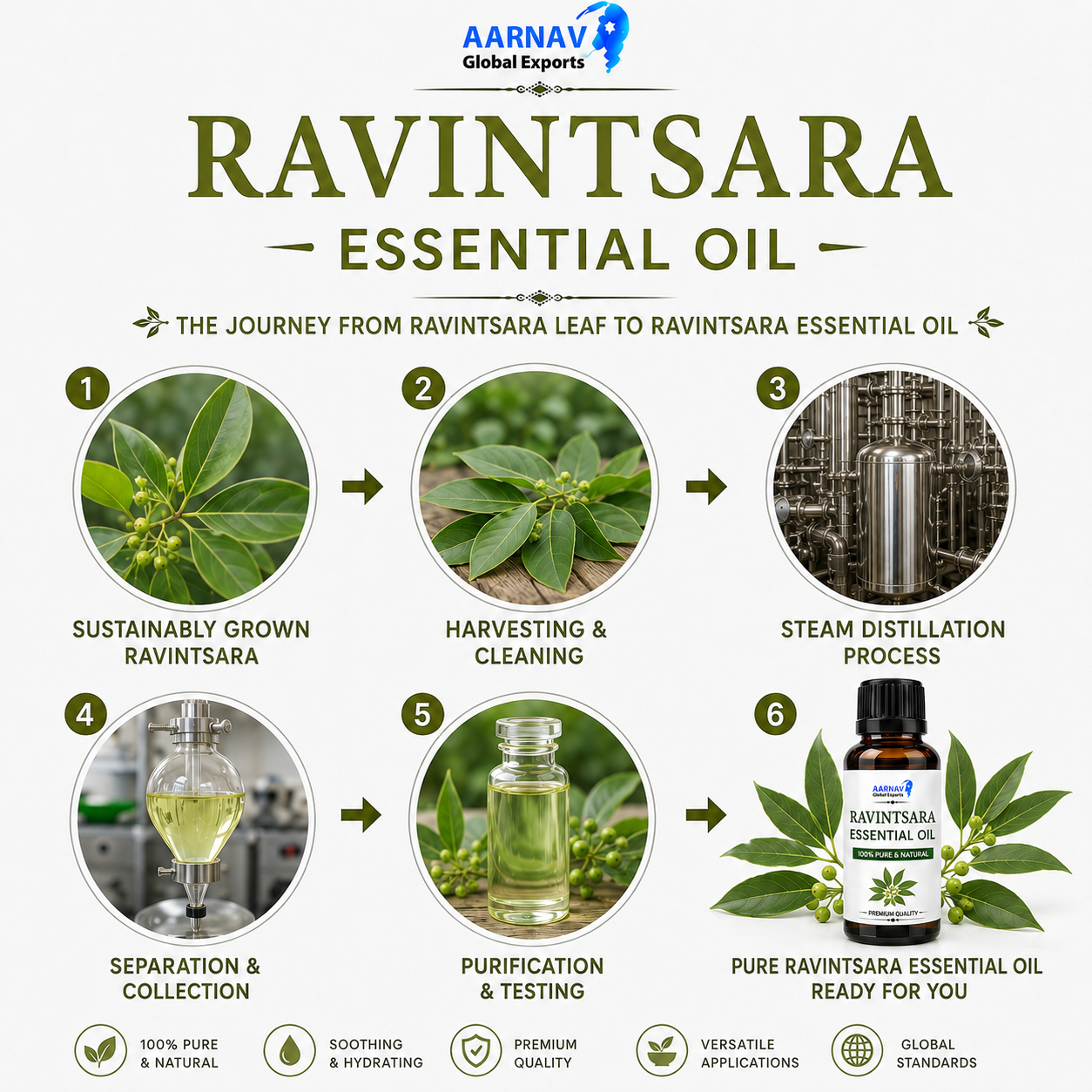 Patchouli Dark Essential Oil - Image 2