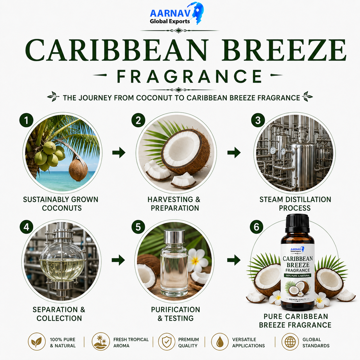 Caribbean Breeze Fragrance - Image 2