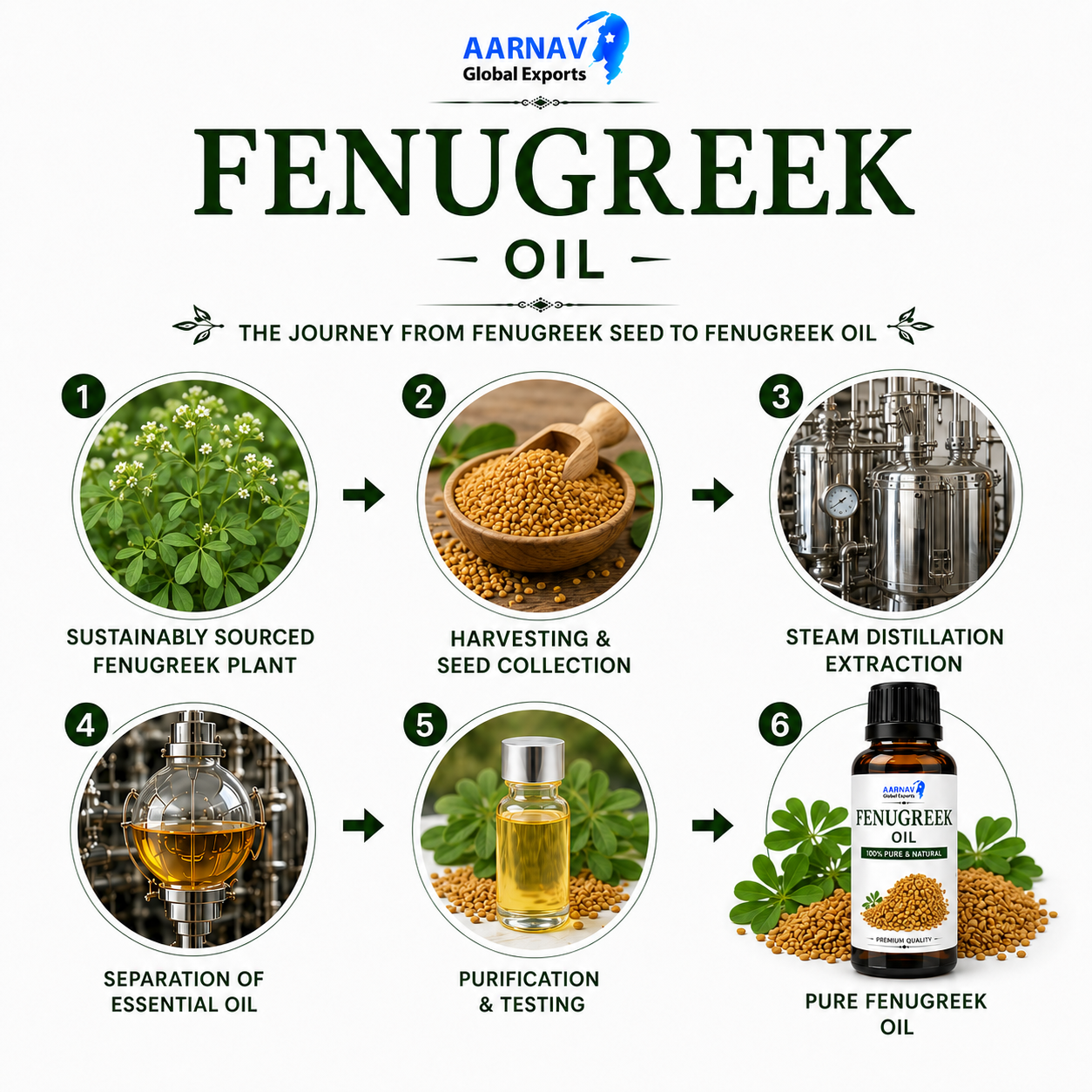 Fenugreek Oil - Image 2