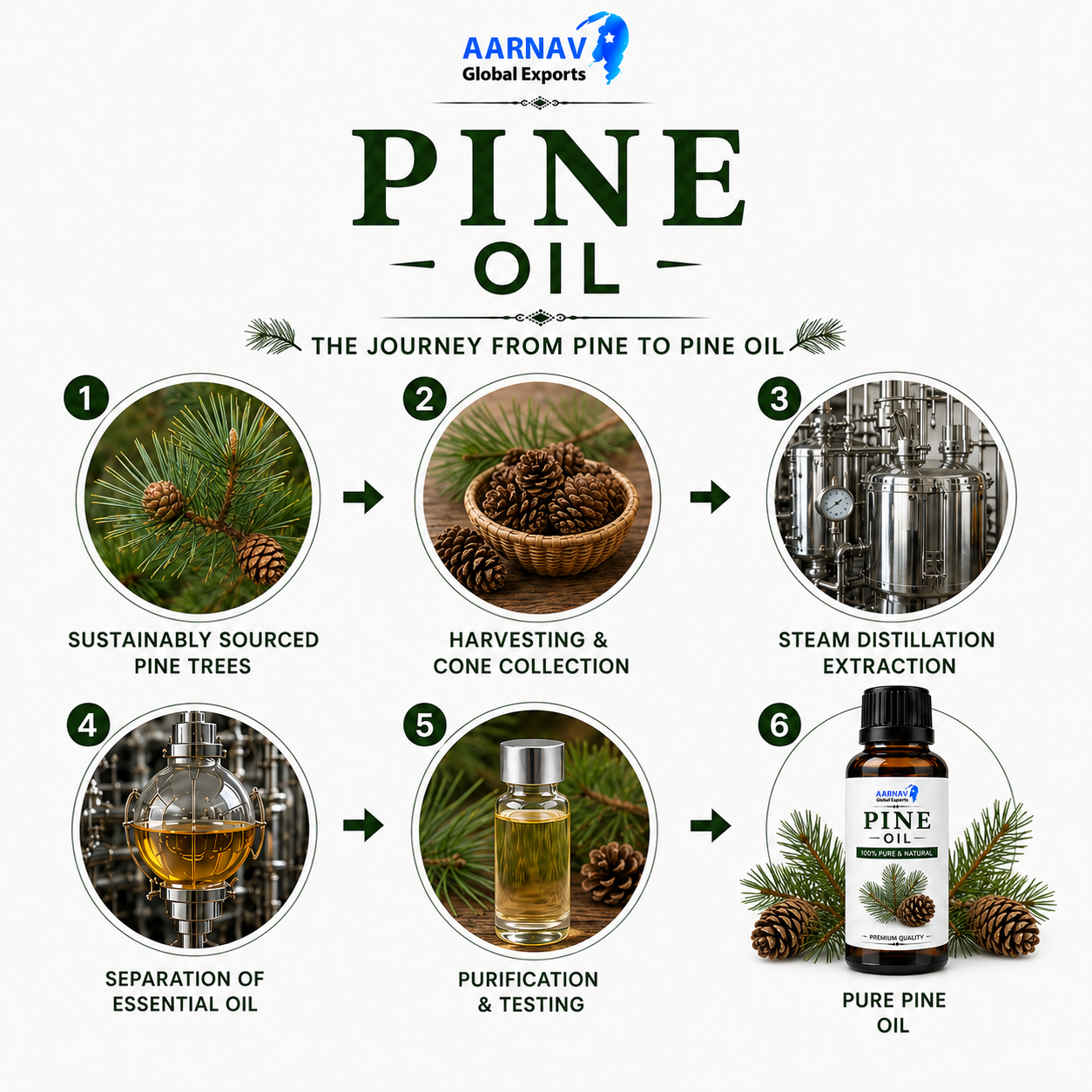 Pine Oil - Image 2