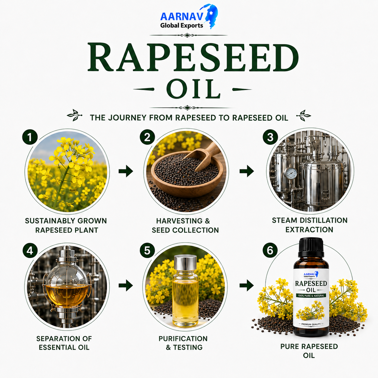 Rapeseed Oil - Image 3
